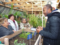 Participe en el Taller de Huertos Ecológicos para el adulto mayor