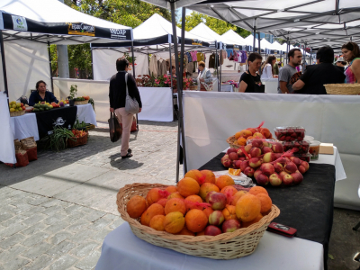 “Mercado Campesino Riberas del Maipo” se lució en Plaza Llolleo