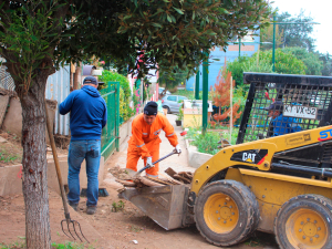 Dimao realiza operativo de limpieza en bandejón de Llolleo Alto