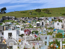 Museo Municipal de San Antonio invita a recorrer el Cementerio Parroquial en una visita nocturna