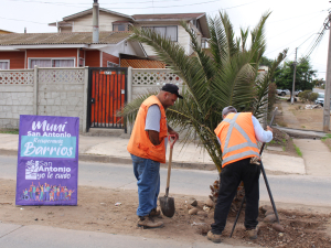 Iniciativa “A la vuelta de la esquina” realiza trabajos en el sector de Placilla