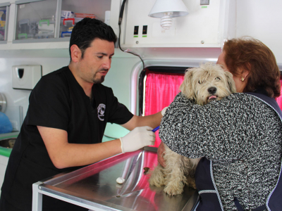 Ponga atención a los servicios de la Clínica Veterinaria Móvil durante enero