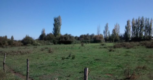 Municipalidad refuerza llamado al cuidado y mantenci&oacute;n de terrenos y propiedades para prevenir riesgos a la comunidad