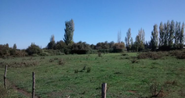 Municipalidad refuerza llamado al cuidado y mantenci&oacute;n de terrenos y propiedades para prevenir riesgos a la comunidad