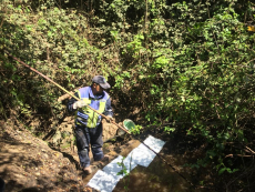 Realizan operativo para descontaminar vertiente en Aguas Buenas