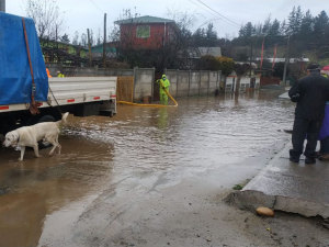 Fuertes lluvias dejan casas afectadas y caídas de árboles en la comuna de San Antonio