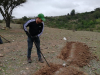 Municipalidad de San Antonio apoya a pequeños agricultores para enfrentar la sequía