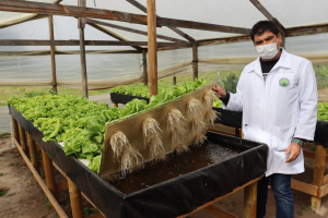 Colegio Agrícola de Cuncumén se adjudicó proyecto de Mineduc para la construcción de invernadero