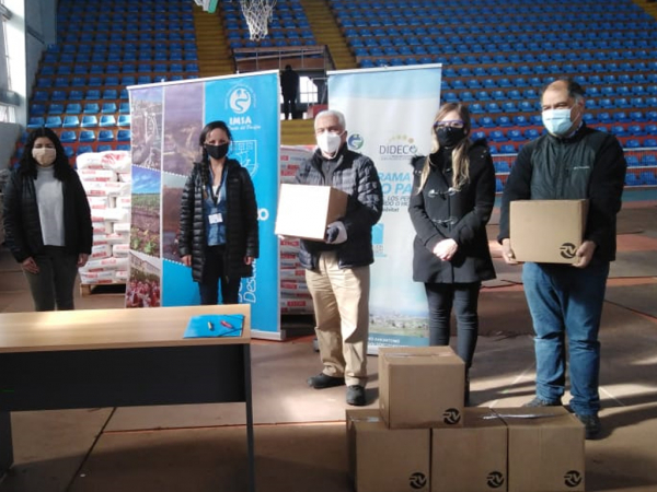 Profesionales de Servicio País apoyan a Municipalidad de San Antonio en la distribución de cajas de alimentos