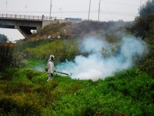 Dirección de Medio Ambiente Aseo y Ornato desratiza y fumiga en las poblaciones