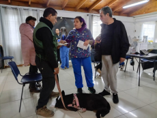 Operativos gratuitos de esterilizaci&oacute;n recorrer&aacute;n nuevos sectores de San Antonio