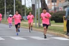San Antonio se une en la lucha contra el c&aacute;ncer de mama con una corrida especial