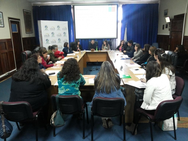 Chile Crece Contigo: Red comunal se coordina para entregar mejor atenci&oacute;n a las familias sanantoninas