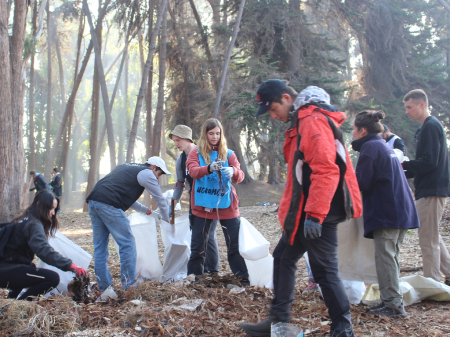 Más de 80 universitarios participaron en jornada de limpieza del Parque Dyr y humedal de la desembocadura del Río Maipo