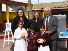 Escuelas municipalizadas de la comuna de San Antonio recibieron implementaci&oacute;n deportiva