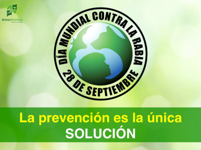 Postas rurales conmemorar&aacute;n junto a vecinos el D&iacute;a Mundial Contra la Rabia