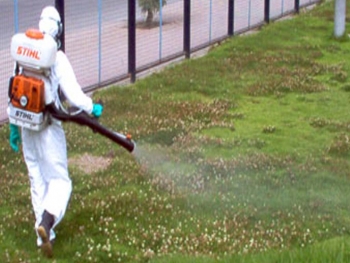 Medio Ambiente de Municipio: Fumigan contra zancudos r&iacute;os, esteros y quebradas
