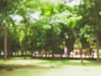 Licitaci&oacute;n P&uacute;blica: &ldquo;Construcci&oacute;n Cierre Perimetral Plaza Islas Chilenas"