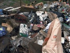 Este domingo 27 de febrero se realizará inicio de hito de limpieza y recuperación del parque DYR