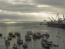 Encuentra aqu&iacute; los archivos de la adenda Puerto Exterior