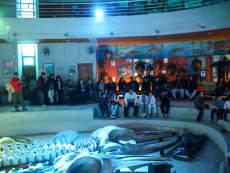 San Antonio vive una masiva Noche de los Museos con más de cinco mil asistentes en el MUSA