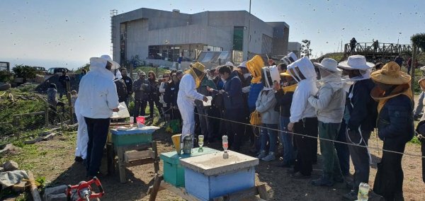 Entretenido panorama ofrecer&aacute; el 5&ordm; Encuentro Ap&iacute;cola Provincial de San Antonio