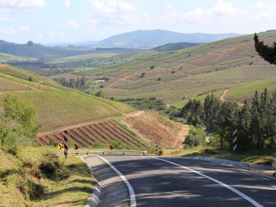 Servicio de locomoción rural tramo Malvilla – San Antonio y El Asilo – San Antonio se renueva