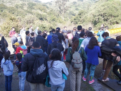 &Eacute;xito total en las actividades del Museo Municipal de San Antonio en Vacaciones de Invierno